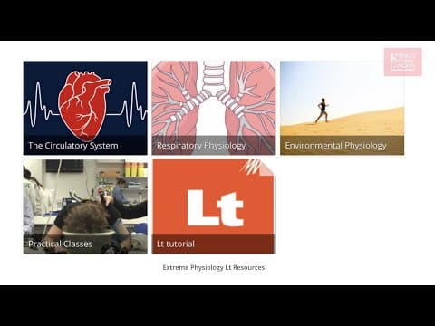 Using Lt in your Physiology Module at KCL thumbnail