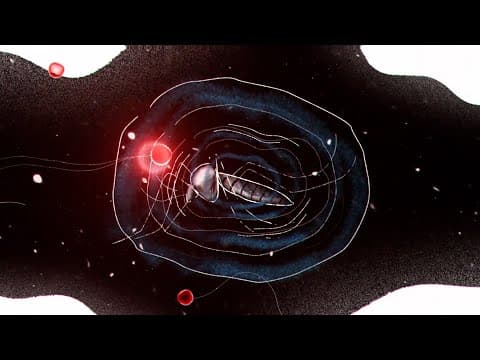 A breakthrough in fighting dengue takes flight thumbnail