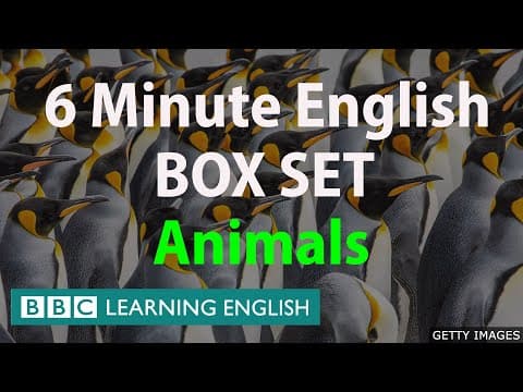 BOX SET: 6 Minute English - 'Animals ' English mega-class! 30 minutes of new vocabulary! thumbnail
