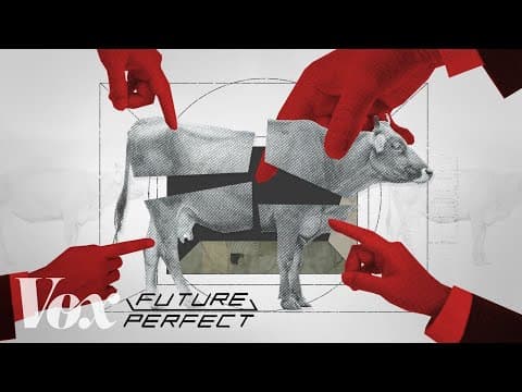 How 4 companies control the beef industry thumbnail