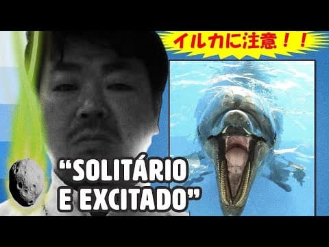 Por que um golfinho está atacando banhistas no Japão? thumbnail