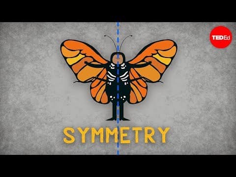 What Is Symmetry and Why Is It Important in Science? thumbnail