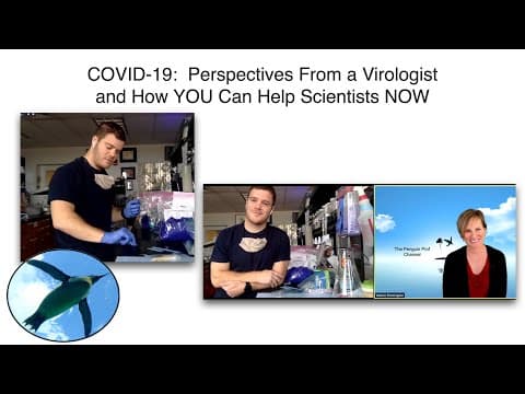 COVID-19: Perspective from a Virologist And How YOU Can Help Scientists NOW thumbnail