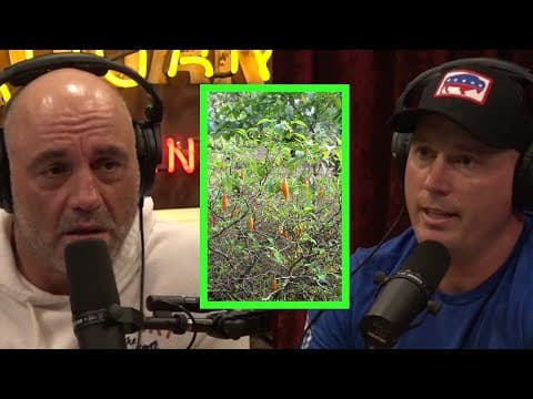 Veteran Dakota Meyer on Receiving Ibogaine Therapy for PTSD thumbnail
