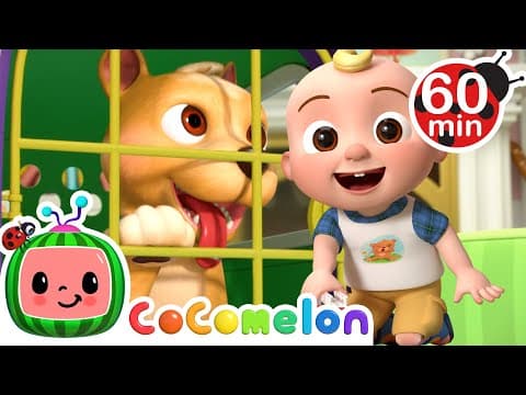 JJ and Bingo's Fun Play Day!🐶 | CoComelon | Animals for Kids | Sing Along | Learn about Animals thumbnail