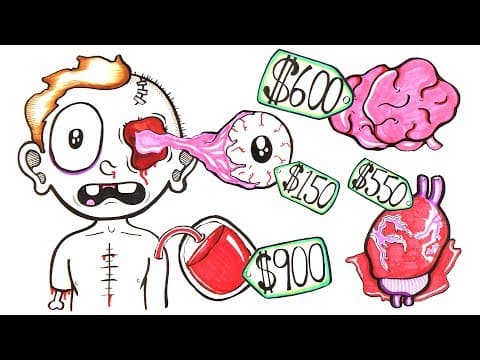 How Much Is Your Body Worth? thumbnail