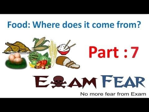Biology Food Part 7 Fruits and vegetables Class 6 VI thumbnail