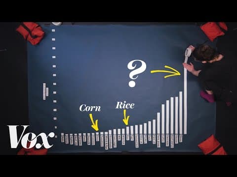 Why beef is the worst food for the climate thumbnail