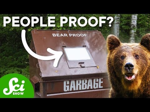 Why Can't We Design A Bear-Proof Trash Can? thumbnail