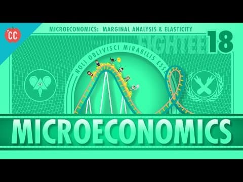 Marginal Analysis, Roller Coasters, Elasticity, and Van Gogh: Crash Course Economics #18 thumbnail
