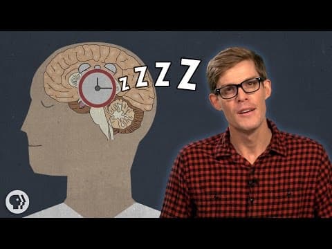 Why Do We Have To Sleep? thumbnail