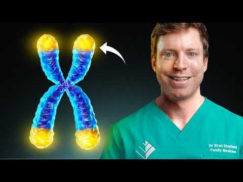 Vitamin D Telomeres and Aging thumbnail