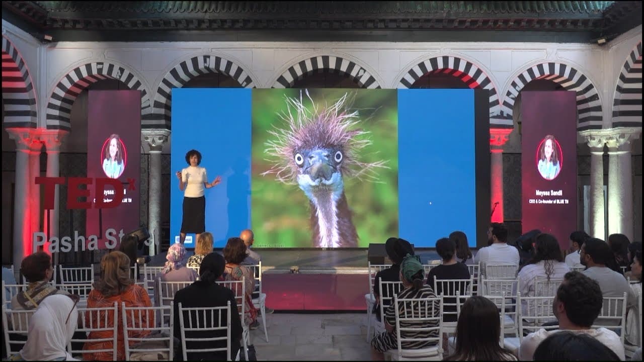 YouTube video player