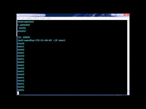 Running multiple scripts at the same time in background - VPS with AWS  EC2 and Python Intro to AWS thumbnail