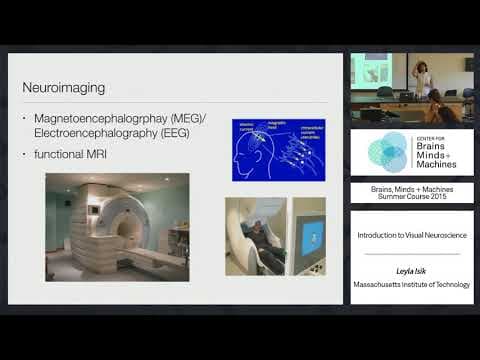 Tutorial 1: Leyla Isik - Introduction to Visual Neuroscience thumbnail
