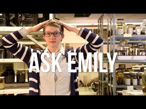 Ask Emily #10 thumbnail