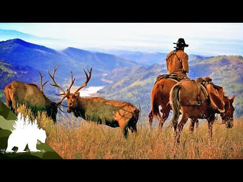 The Mountain Man: Surviving Alone in the Rockies | Complete Series | Survival Show thumbnail