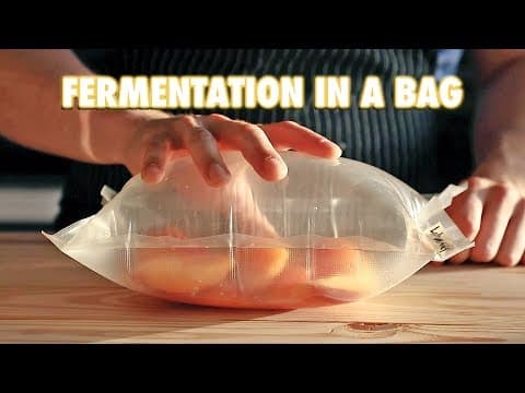 The Easiest Way To Ferment Any Fruit (Lacto-Fermentation) thumbnail