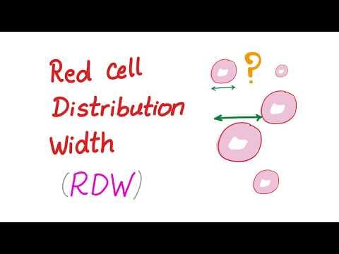 Red Cell Distribution Width (RDW) - What Does This Lab Test REALLY Mean? thumbnail