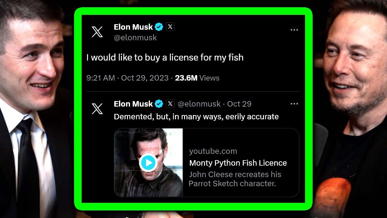 YouTube video player