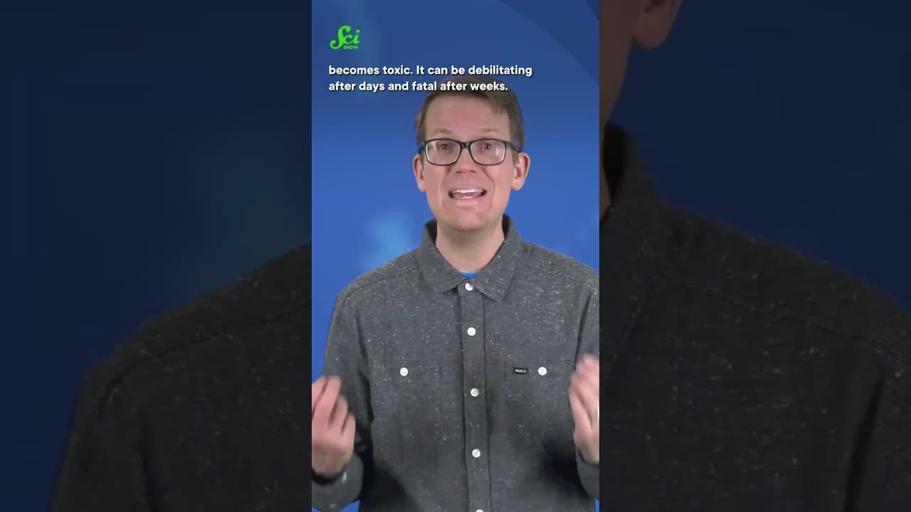 YouTube video player