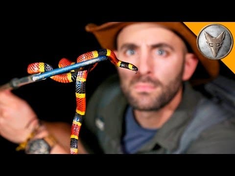 Night of the Deadly Creatures thumbnail