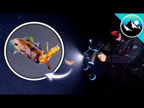 What Are the Most Alien-Like Creatures in Our Oceans? thumbnail
