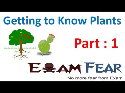 Biology Getting to Know Plants Part 1 (Introduction) Class 6 VI thumbnail