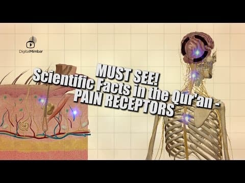 MUST SEE! Scientific Facts in the Qur'an - Pain Receptors thumbnail