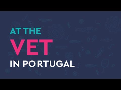 Speak in Portugal - at the vet (listen & repeat) thumbnail
