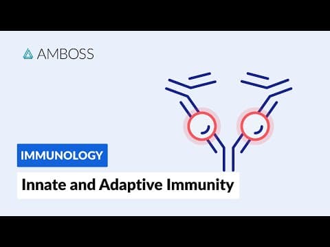 Innate and Adaptive Immunity: Types of Immune Responses (Full version) thumbnail