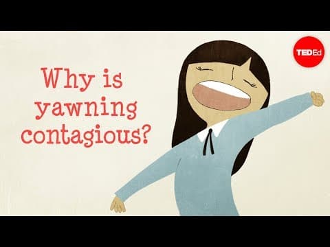 Why is yawning contagious? - Claudia Aguirre thumbnail