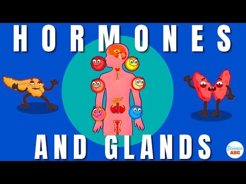 Endocrine System: Glands and Hormones thumbnail