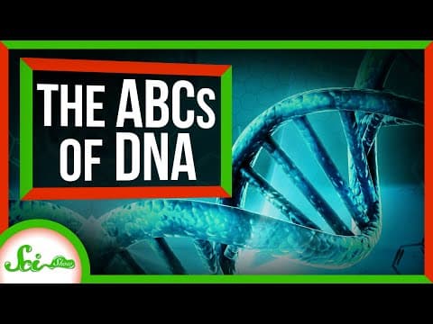 Here's What DNA Really Looks Like thumbnail
