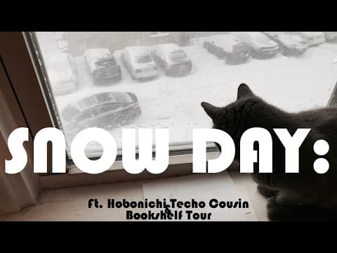 Snow Day | VLOG - Hobonichi, Bookshelf Tour thumbnail