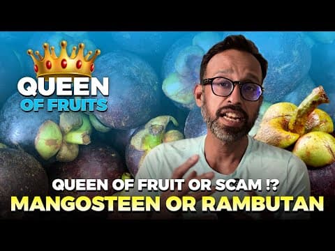 mangosteen - the real truth about the queen of fruit ( TAMIL ) ! thumbnail