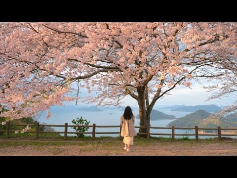 Vlog ｜追樱花的人 日本香川、尾道赏樱之旅！4K HDR thumbnail