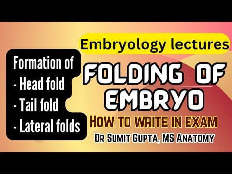 Folding of embryo | General embryology thumbnail