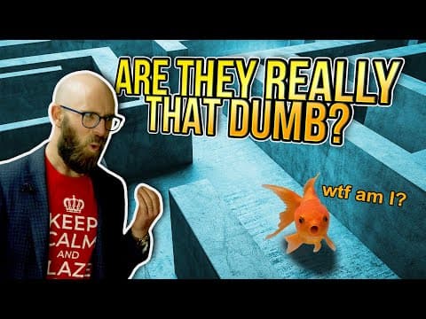 Our Fine Finned Friends are Smarter Than You Think thumbnail
