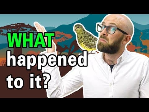 The World's Most Elusive Bird thumbnail