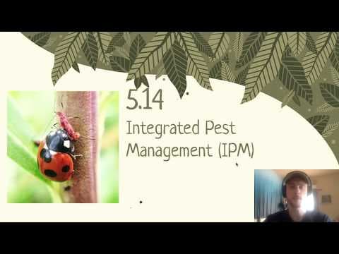 APES Video Notes 5.14 - Integrated Pest Management (IPM) thumbnail