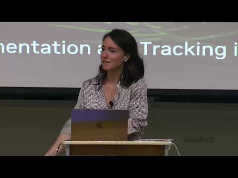 Stanford Seminar - Open-world Segmentation and Tracking in 3D thumbnail