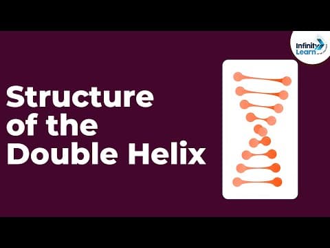 Genetics - Structure of the Double Helix - Lesson 14 | Don't Memorise thumbnail