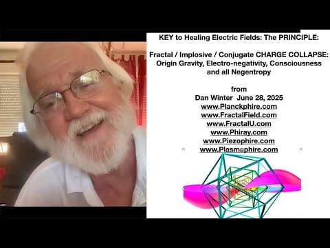 KEY to Healing Electric Fields: The PRINCIPLE:Fractal / Implosive / Conjugate CHARGE COLLAPSE thumbnail