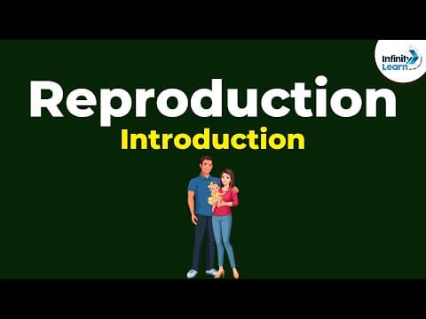 Introduction to Reproduction in Animals | Don't Memorise thumbnail