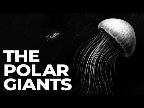Why Antarctic Oceans Turn Animals Into Giants thumbnail