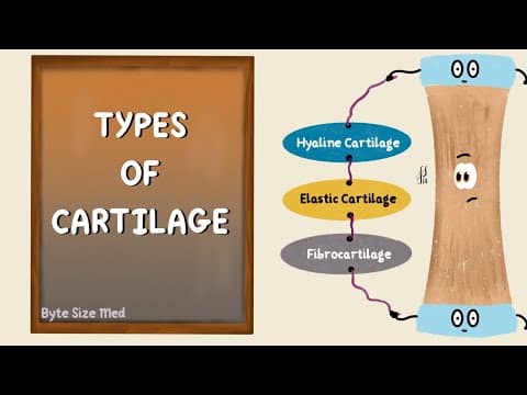 Structure and Types of Cartilage | Hyaline | Elastic | Fibrocartilage | Connective Tissue Histology thumbnail