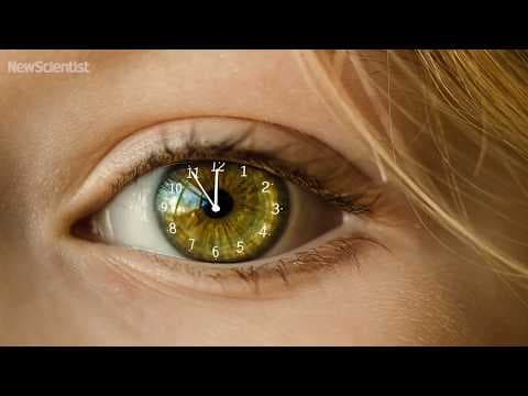 How Does Sunlight Shape the Body and Mind? thumbnail