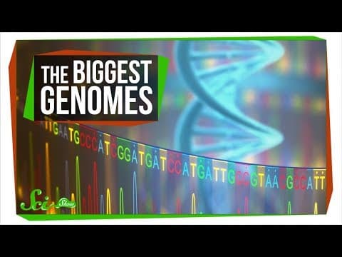 The Mystery of the Biggest Genomes thumbnail