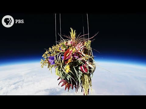 Art We Launched Into Space thumbnail